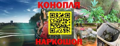 Альфа ПВП Новокубанск